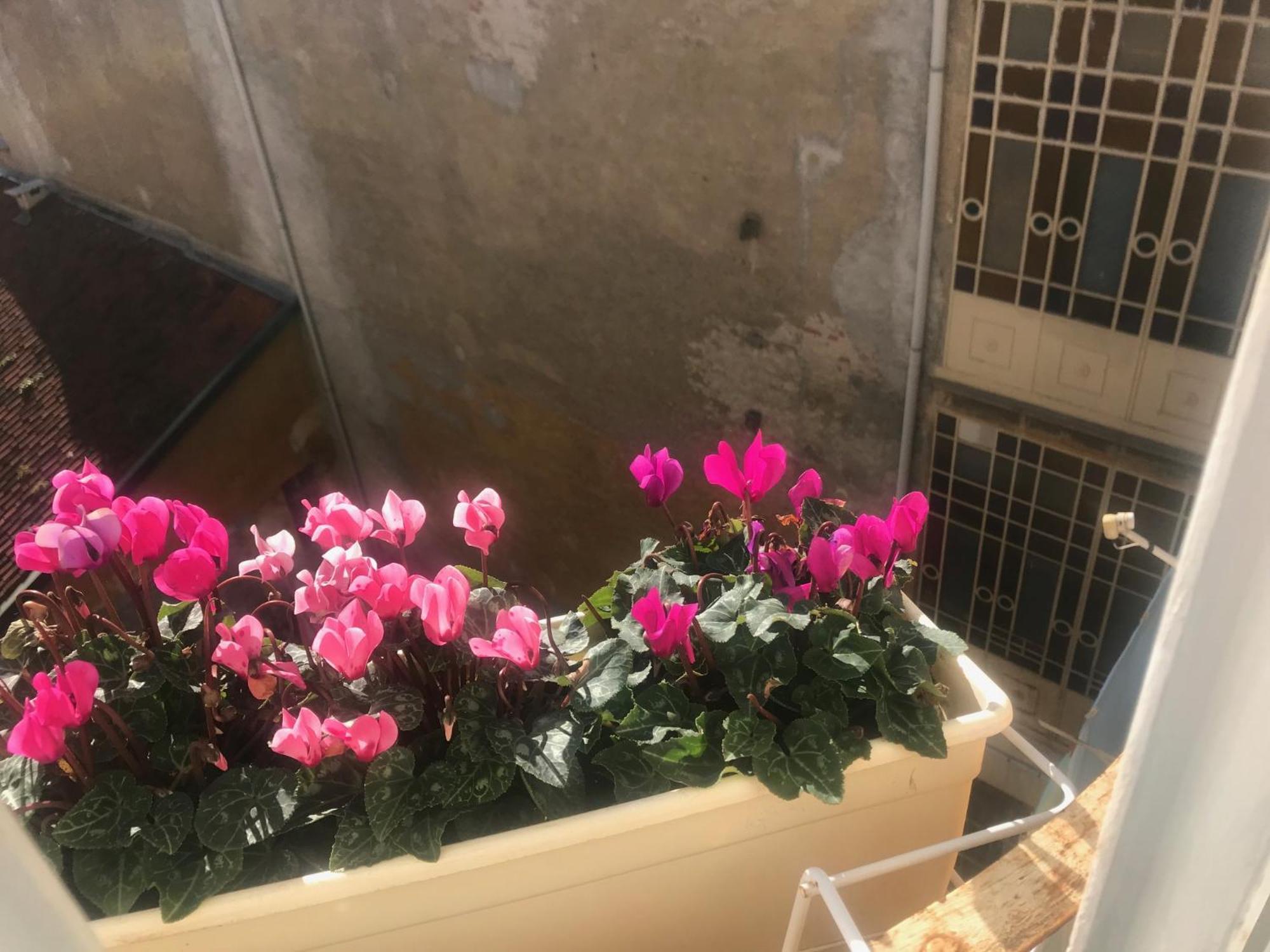 A Due Passi Dal Duomo Hotel Biella Buitenkant foto